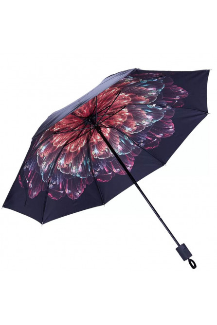 Umbrella